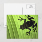 Frösche Postkarte (Vorne/Hinten)