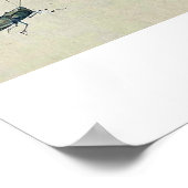 Frösche, Schnecken und Insekten Poster (Ecke)