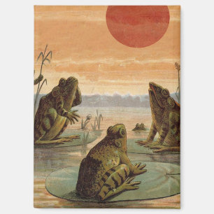 Frösche Seerosenblätter Mond Illustration Magnet