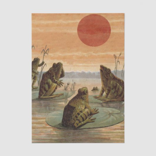Frösche Seerosenblätter Mond Illustration Seidenpapier (Vorderseite)