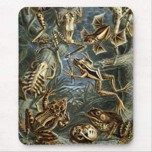 Frösche u. Kröten Mousepad
