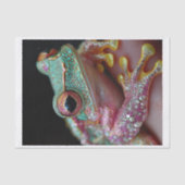 Frösche und Diamanten10 Seidenpapier (Vorderseite)