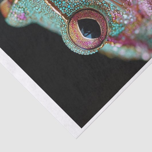 Frösche und Diamanten10 Seidenpapier (Ausschnitt)