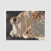 Frösche und Diamanten11 Seidenpapier (Vorderseite)