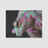 Frösche und Diamanten3 Seidenpapier (Vorderseite)