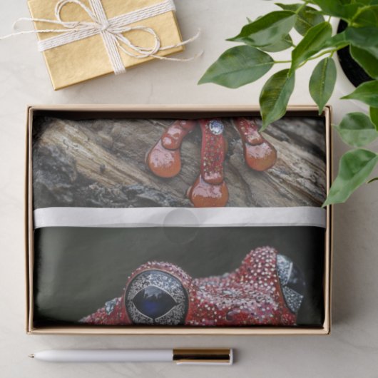 Frösche und Diamanten6 Seidenpapier (Geschenk)