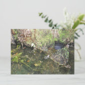 Frösche und Frosch-Fischeier in einer Einladung (Stehend Vorderseite)