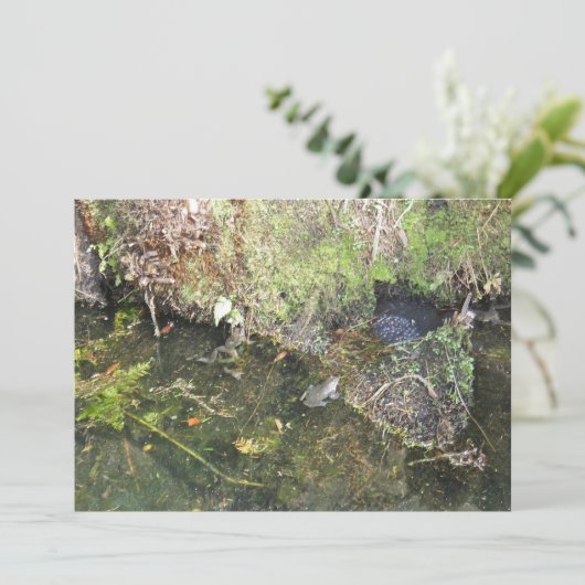 Frösche und Frosch-Fischeier in einer Einladung (Stehend Vorderseite)