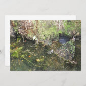 Frösche und Frosch-Fischeier in einer Einladung (Vorne/Hinten)