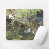 Frösche und Frosch-Fischeier in einer Mousepad (Mit Mouse)