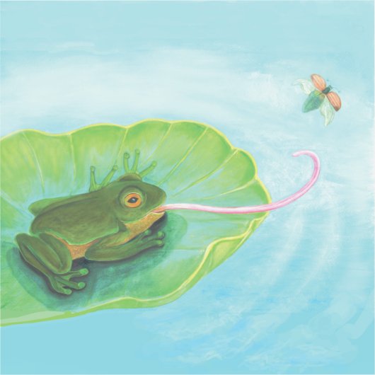 Froschfänger Aufkleber (Vorderseite)