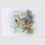 Froschfarbe Seidenpapier (Vorderseite)