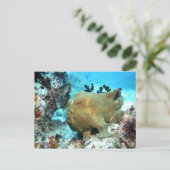 Froschfisch getarnt postkarte (Stehend Vorderseite)