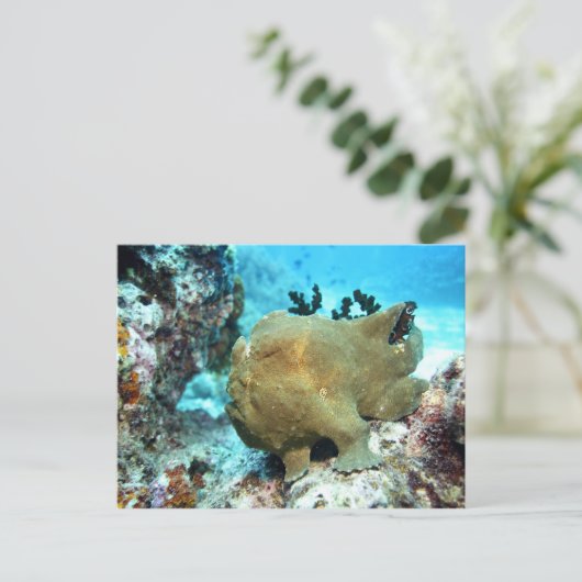 Froschfisch getarnt postkarte (Stehend Vorderseite)