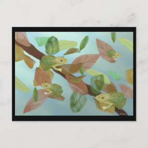 Froschfrosche Postkarte