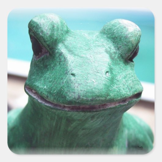 Froschgesicht Quadratischer Aufkleber (Vorderseite)