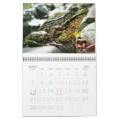 Froschkalender 2015 kalender (Mär 2027)