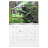 Froschkalender 2015 kalender (Feb 2027)