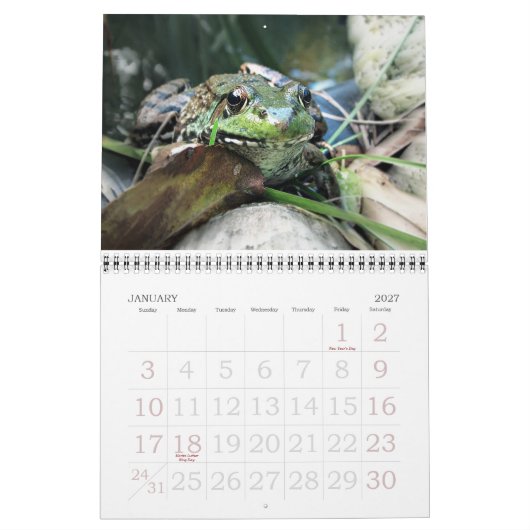 Froschkalender 2015 kalender (Jan 2027)