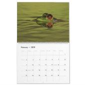 Froschkalender 2025 kalender (Feb 2025)