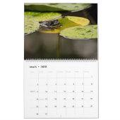 Froschkalender 2025 kalender (Mär 2025)