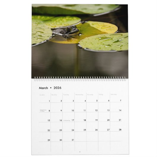 Froschkalender 2025 kalender (Mär 2026)