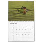 Froschkalender 2025 kalender (Feb 2026)