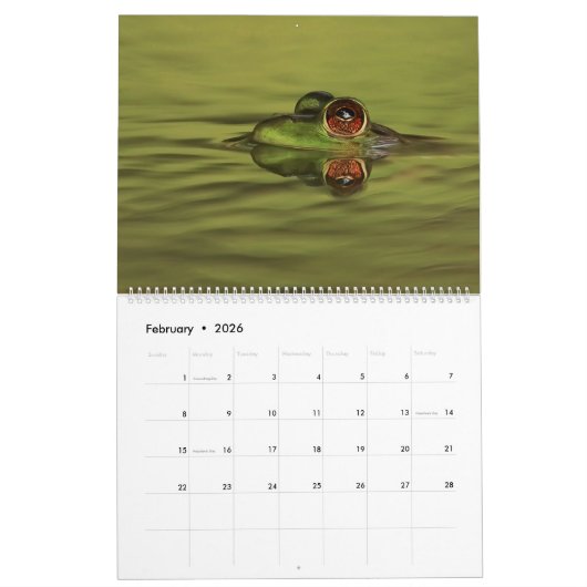 Froschkalender 2025 kalender (Feb 2026)