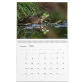 Froschkalender 2025 kalender (Jan 2025)