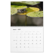 Froschkalender 2025 kalender (Mär 2027)