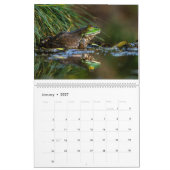 Froschkalender 2025 kalender (Jan 2027)