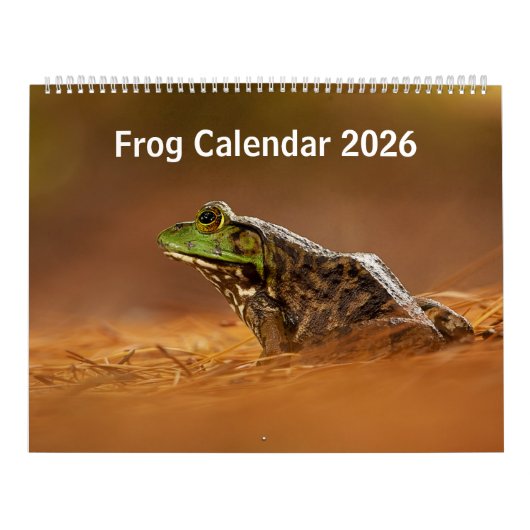 Froschkalender 2025 kalender (Titelbild)