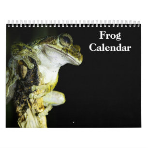 Froschkalender 2026 kalender