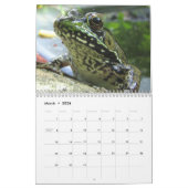 Froschkalender Kalender (Mär 2026)