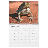 Froschkalender Kalender (Feb 2026)