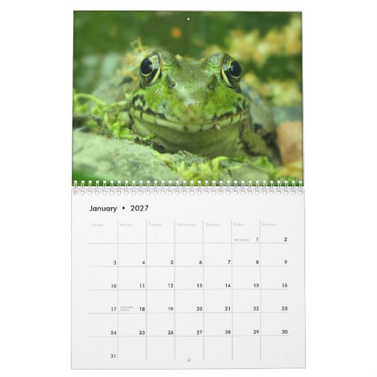 Froschkalender Kalender (Jan 2027)