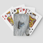 Froschkarten Spielkarten (Rückseite)
