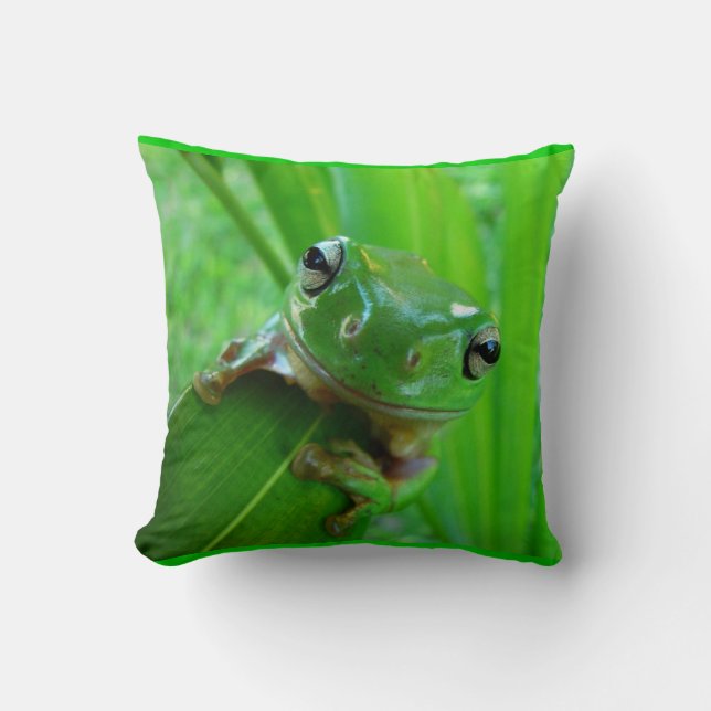 Froschkissen Kissen (Vorderseite)