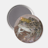 Froschkönig Magnet (Vorderseite/Rückseite)