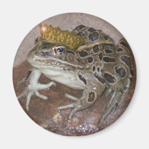 Froschkönig Magnet