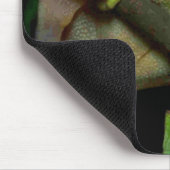 Froschliebhaber mousepad (Ecke)
