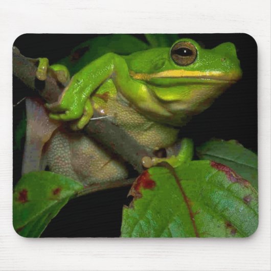 Froschliebhaber mousepad (Vorne)