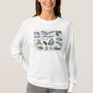 Froschlurche und andere Amphibien T-Shirt
