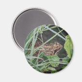 Froschmagnet Magnet (Vorderseite/Rückseite)