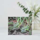 Froschpaar Postkarte (Stehend Vorderseite)