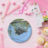 Froschpapierplatte Pappteller (Party)