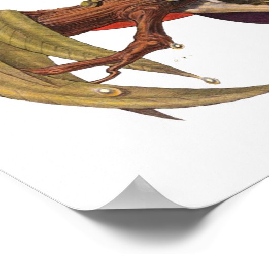 Froschplakat Poster (Ecke)