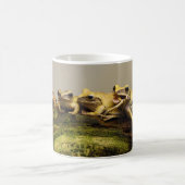 Froschpoledate Leucomystax Kaffeetasse (Mittel)