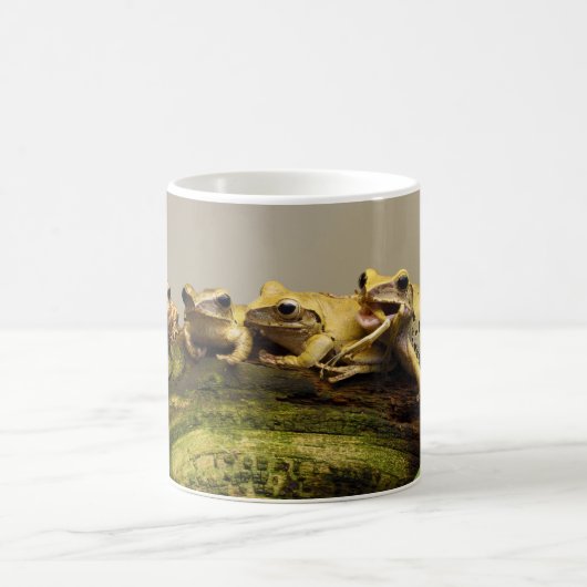 Froschpoledate Leucomystax Kaffeetasse (Mittel)