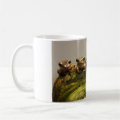 Froschpoledate Leucomystax Kaffeetasse (Links)